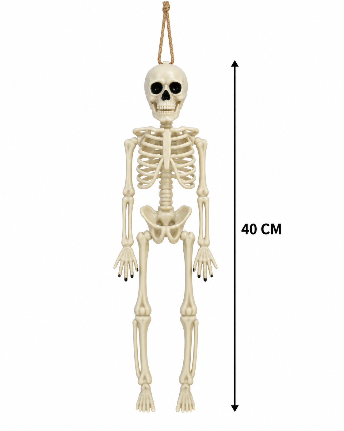 Parti Malzemesi 40 Cm Asılabilir İskelet Halloween Süsü Dekoratif Korku Parti Süsü