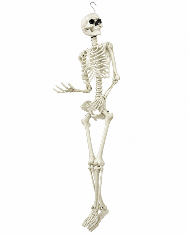 Parti Malzemesi  Halloween 90 Cm Asılabilir İskelet Dekoru Hareketli Eklemli Korku Süsü