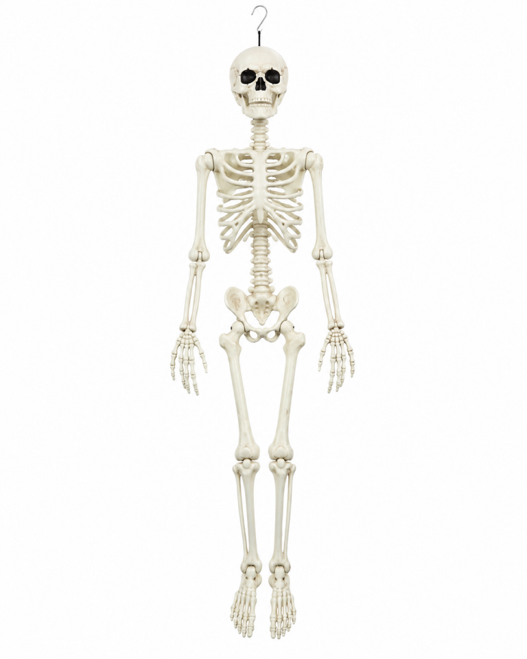 Parti Malzemesi  Halloween 90 Cm Asılabilir İskelet Dekoru Hareketli Eklemli Korku Süsü