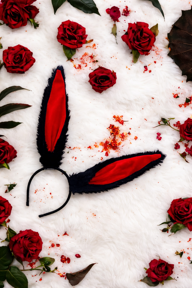 Parti Malzemesi Tavşan Kulak Taç 27 cm Peluş  Bunny Kulak Parti Aksesuarı Siyah