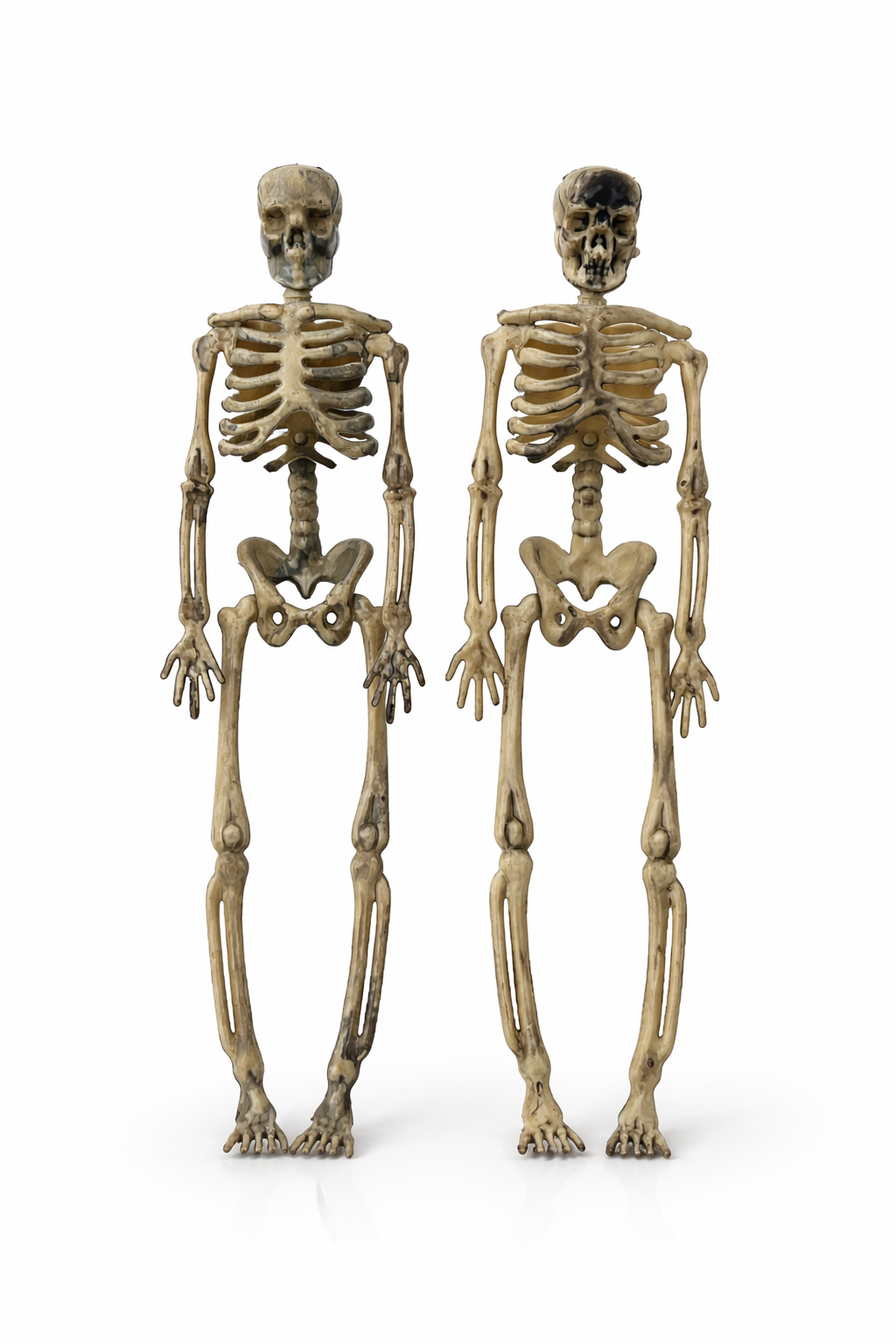 Parti Malzemesi 2’li Mini İskelet Dekor 17 cm – Halloween Cadılar Bayramı Süs, Masa & Vitrin Dekoru so-129